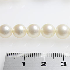 定規を添えて撮影した真珠の写真