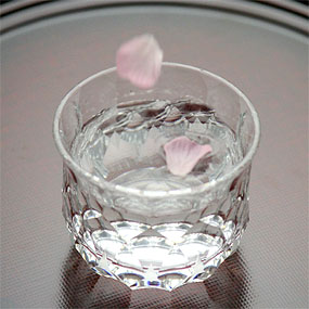 桜の花びらが落ちて波紋ができた日本酒の写真