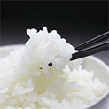 「米・ご飯」の撮影