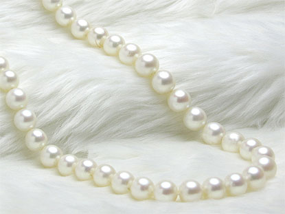 真珠のネックレスの写真